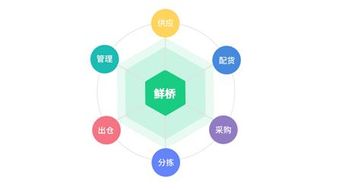 鮮橋訂貨軟件 賦能農(nóng)產(chǎn)品流通，讓晝夜奔忙更從容